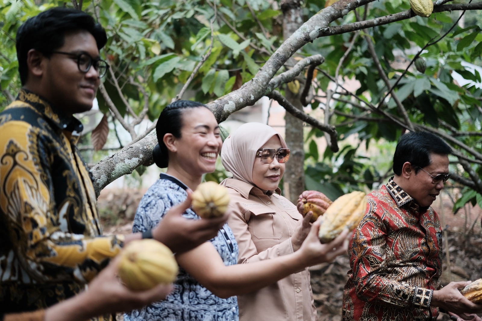 Wakil Ketua Komisi VII DPR RI Rahayu Saraswati bersama anggota memetik buah kakao langsung dari pohon di Desa Wisata Nglanggeran.
