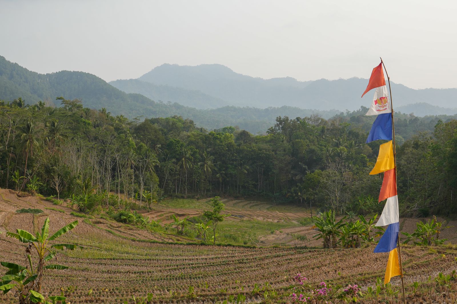 lanskap panorama alam perbukitan hijau di kawasan destinasi wisata Sekaran Hills Purworejo